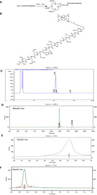 PET imaging with [68Ga]-labeled TGFβ-targeting peptide in a mouse PANC-1 tumor model